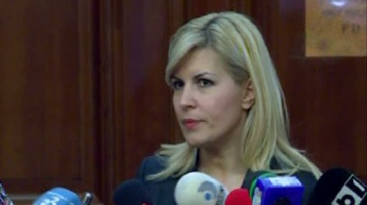 Udrea: Nu există riscul scindării PDL. Este o competiţie care s-a înfierbântat